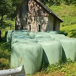 Apartment Tolmin Gorenji Log