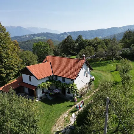 Apartment Tolmin Gorenji Log