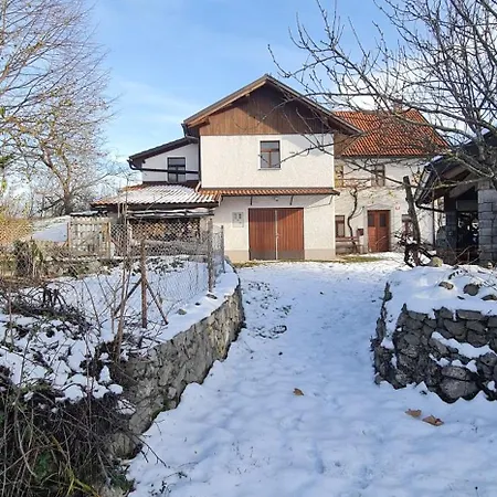 Tolmin