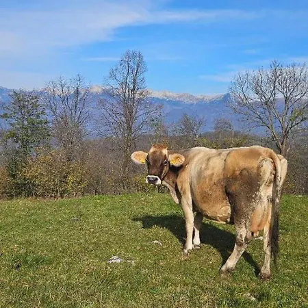 Appartamento Tolmin