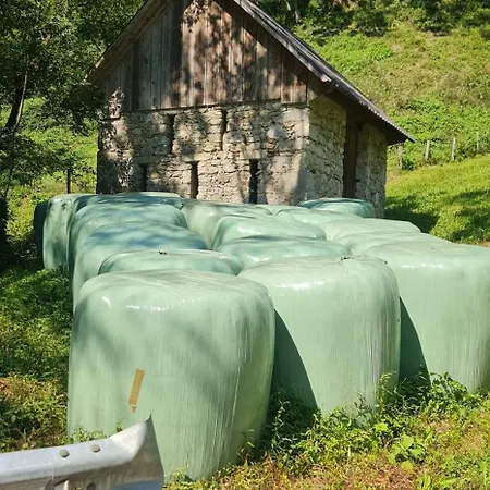 Apartment Tolmin Gorenji Log